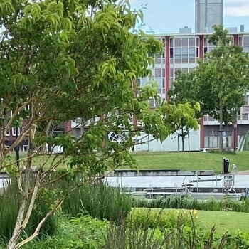 Parc Burgemeester Geukerspark, Helmond (Pays-Bas)