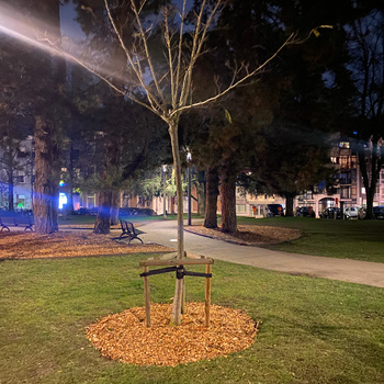 Afwerking groeiplaats