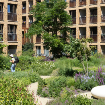 De Meelfabriek, Leiden, Holandia