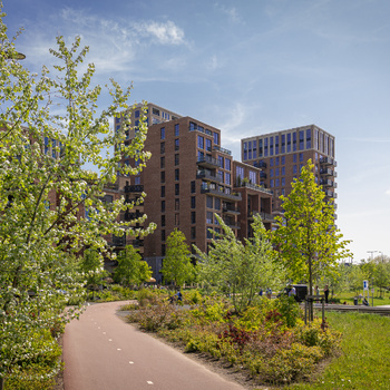 Little C, Rotterdam