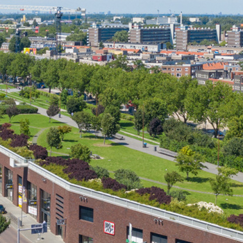 Vierhavensstrip rooftop park, Rotterdam