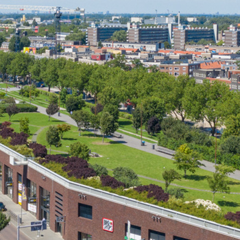 Park na dachu Vierhavensstrip , Rotterdam