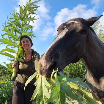 Blogs over "Ontwerp"