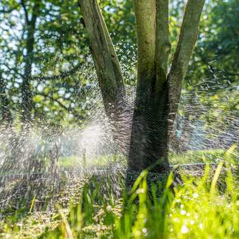 Hoeveel water moet een boom hebben?