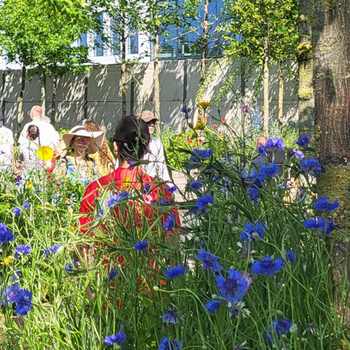 Forest on the A10 ring road - 750 years of Amsterdam