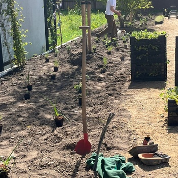 Planting area layout