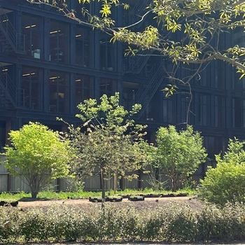 Plantgat voorbereiding