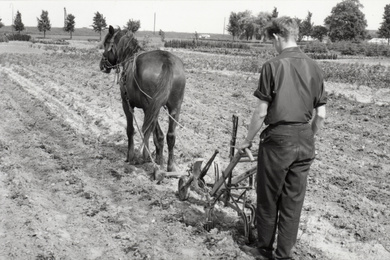 1961 Ebben Working the land 1