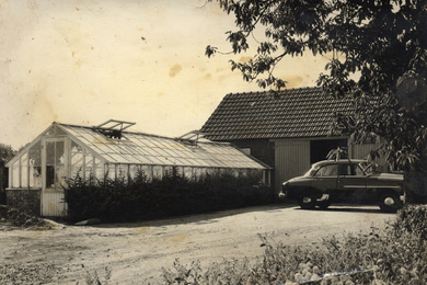 1970 Ebben greenhouse