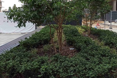 210713_MAD003- (38) small