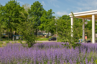 6. Apeldoorn-Winkelcentrum Anklaar-210602-16