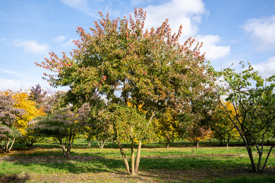 ACBUERGE-HM-400500-211027-1-herfstbeeld