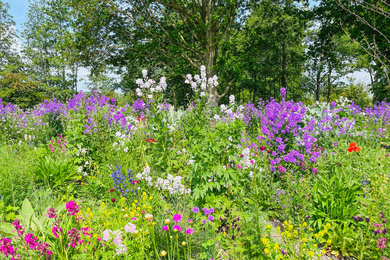 Almere-Floriade-Borders-220518-43