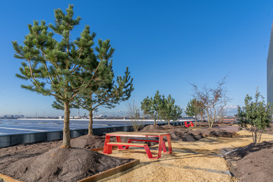 Amsterdam-CTPark Amsterdam City-aanleg-230303-4