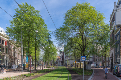 Amsterdam-Nieuwezijds Voorburgwal-trampark-220621-15
