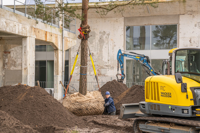 Arnhem-Gebouw KB-aanleg-231218-13