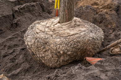 Arnhem-Gebouw KB-aanleg-231218-28