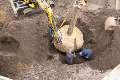 Arnhem-Gebouw KB-aanleg-231218-38