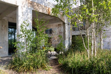 arnhem2539_small