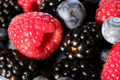 berry-3237883-pixabay