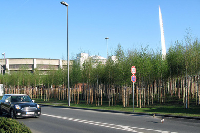 Boomkwekerij Ebben Airport Düsseldorf 4