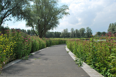 Boomkwekerij Ebben Bijlmerpark 1