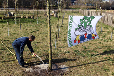 Boomkwekerij Ebben Bomentuin 2