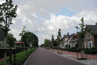 Boomkwekerij Ebben Gelderstraat 2