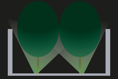 Boomkwekerij Ebben light solution 3