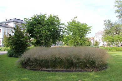 Boomkwekerij Ebben Tonhallengarten 2