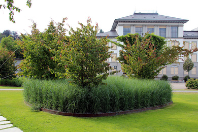 Boomkwekerij Ebben Tonhallengarten 5