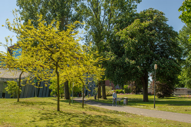 Breda-Avans Hogeschool-210601-57