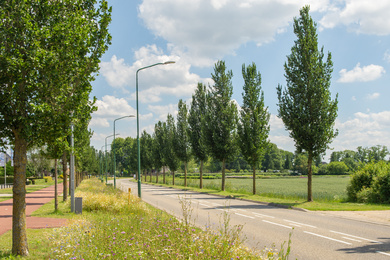 Cuijk-Beerseweg-ULCOLUME-190617-5