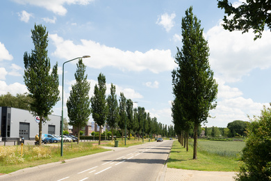 Cuijk-Beerseweg-ULCOLUME-190617-7