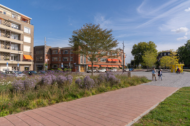 den-bosch-wilhelminaplein-210928-15