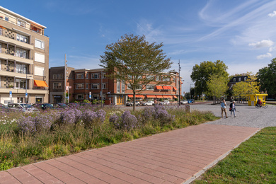 Den Bosch-Wilhelminaplein-210928-15