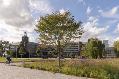 den-bosch-wilhelminaplein-210928-57