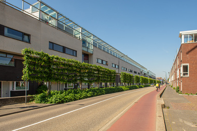 Dordrecht-Noordendijk leilindes-210607-8