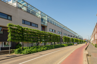 Dordrecht-Noordendijk leilindes-210607-9