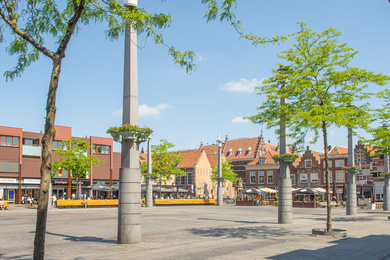 Dordrecht-Statenplein-Gleditsia-210607-8