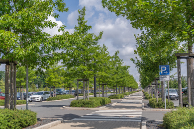 Ebben Trees -Dortmund-WILO-Parking-230627-47