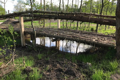 Ebben_Floriade 2022 levende brug_4