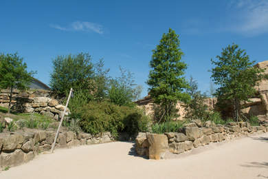 Emmen-Wildlands-2016-30