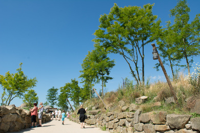 Emmen-Wildlands-2016-34