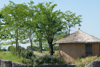 Emmen-Wildlands-2016-37