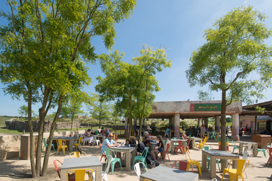 Emmen-Wildlands-2016-42