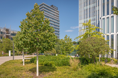 Koblenz_Debeka_260826_29
