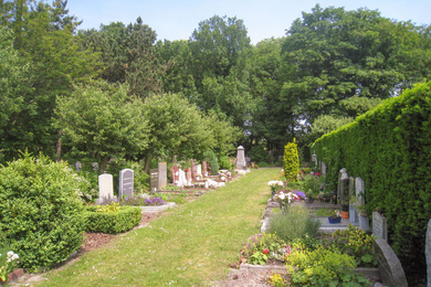 Malus tussen graven 2 Den helder