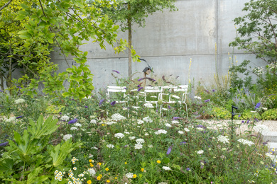 MdR 4726-98 Houthaven Botanique