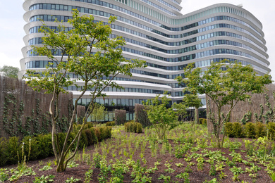 meerstammige-bomen-gebouw